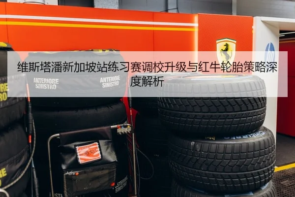维斯塔潘新加坡站练习赛调校升级与红牛轮胎策略深度解析