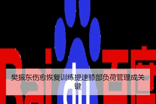 樊振东伤愈恢复训练提速膝部负荷管理成关键