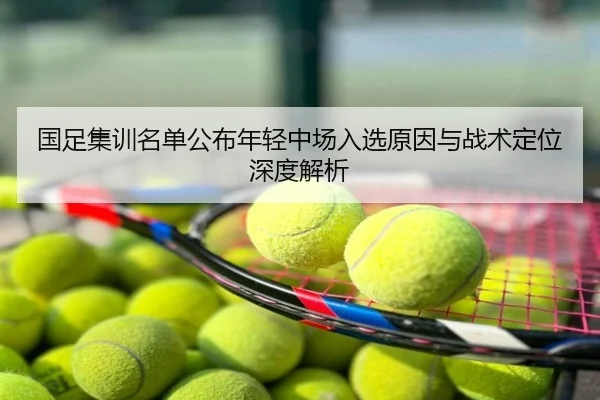 国足集训名单公布年轻中场入选原因与战术定位深度解析